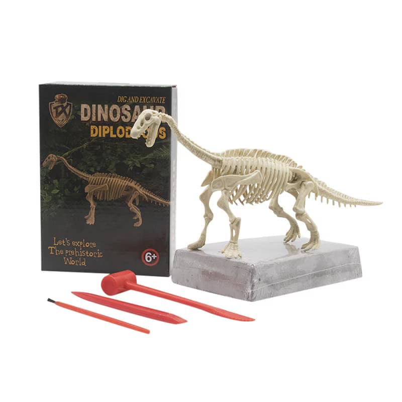 Joc educativ de arheologie, descopera fosila de Dinosaur, Diplodocus