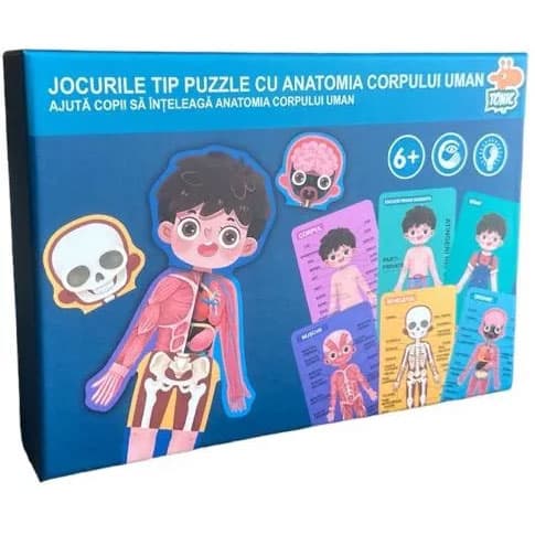 Puzzle educativ din lemn, corpul uman in limba romana, baietel, SARALMA®