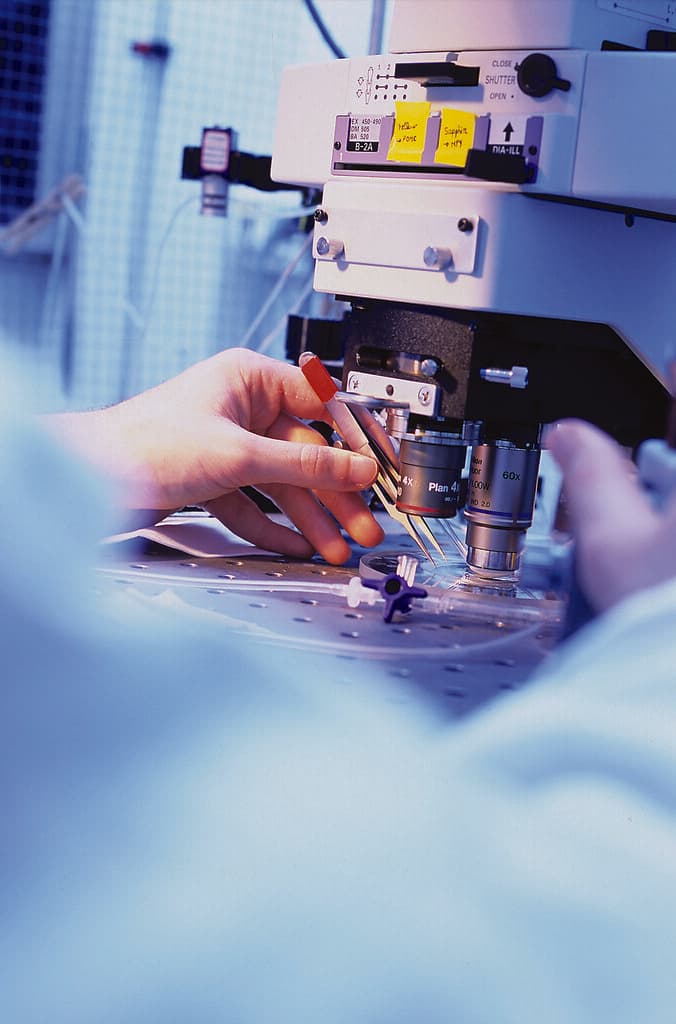 Set de experimente științifice pentru copii, 10 experimente