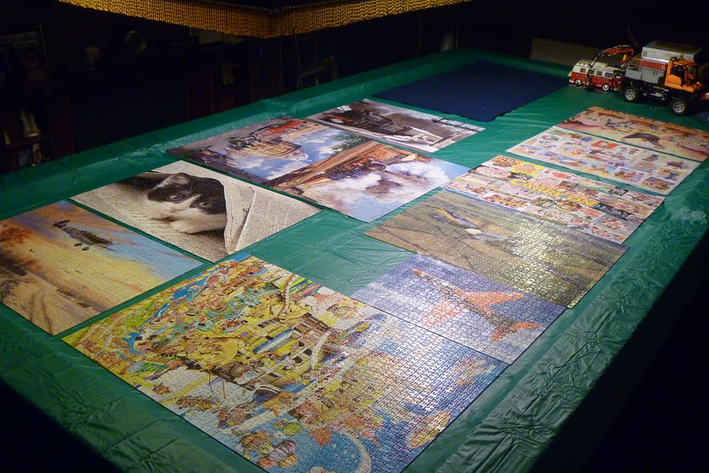 Puzzle 730 piese