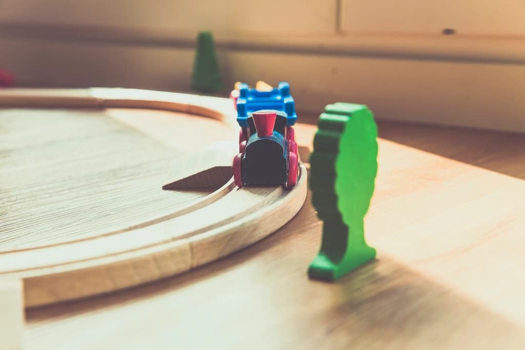 Set Montessori din lemn pentru sortat și asociat, 8 piese