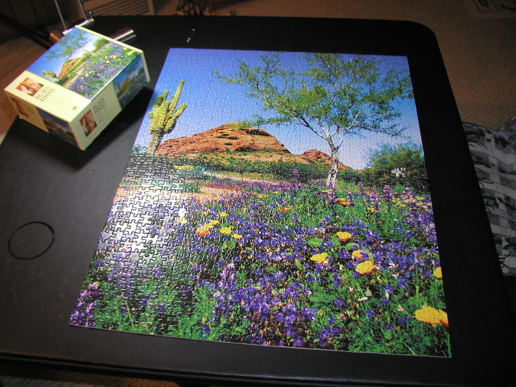 Puzzle 979 piese